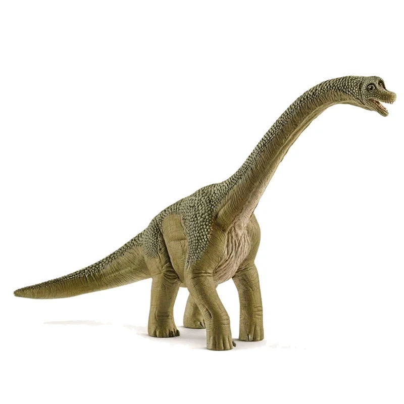 borneneskartel587954