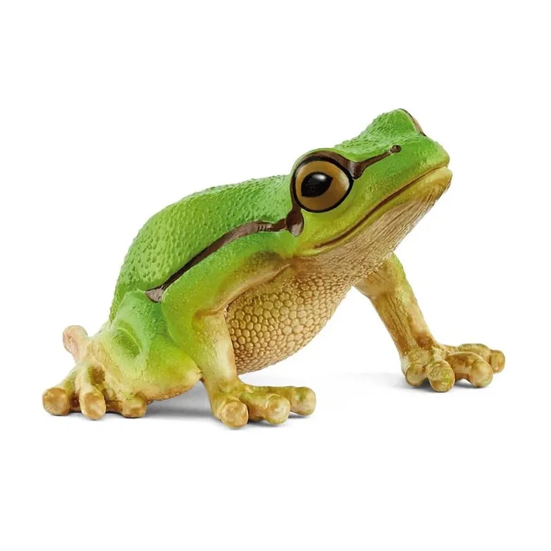 borneneskartel590872