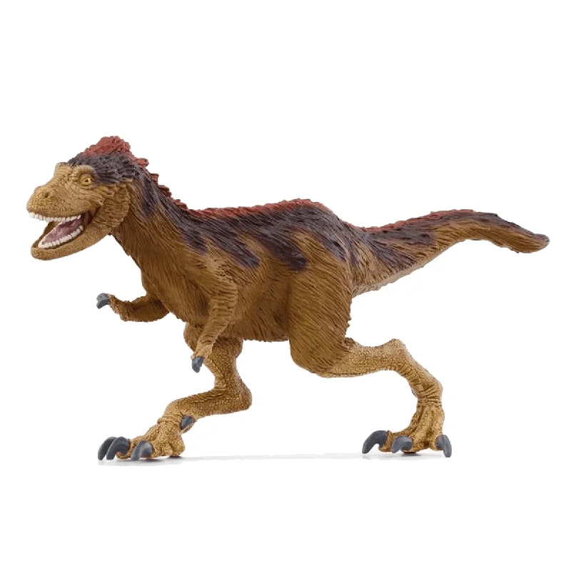 borneneskartel592498