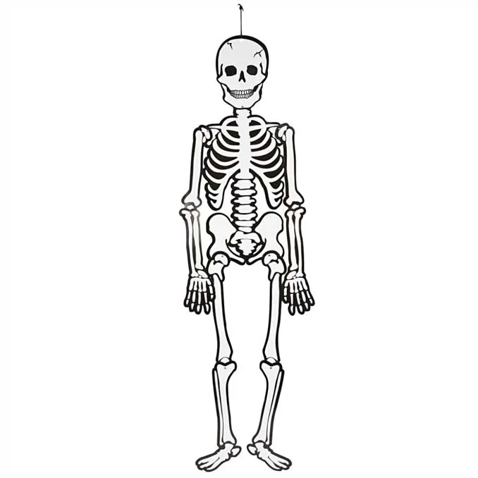 borneneskartel594069