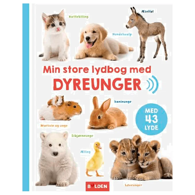 borneneskartel672692