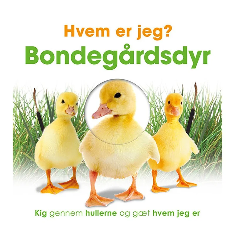 borneneskartel674150