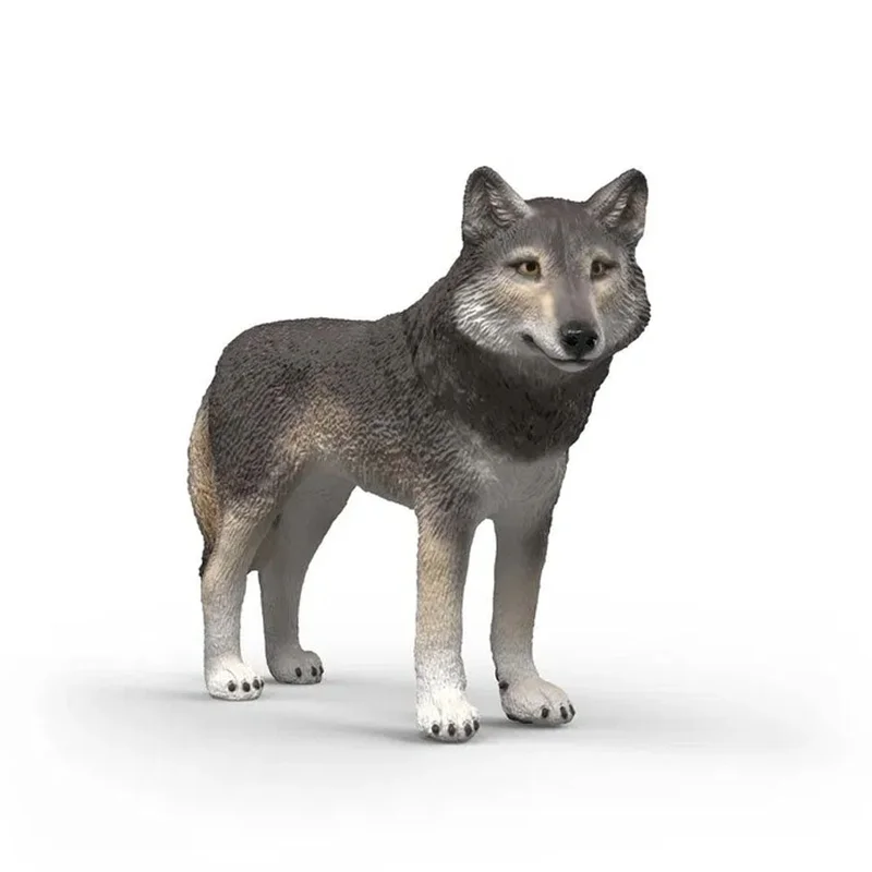 borneneskartel730398
