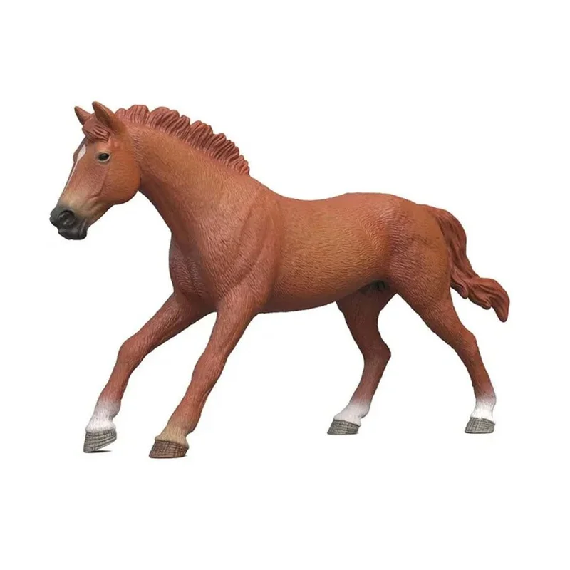 borneneskartel730493