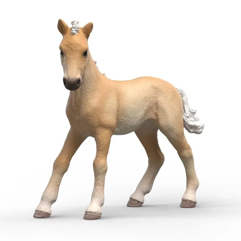 borneneskartel737315