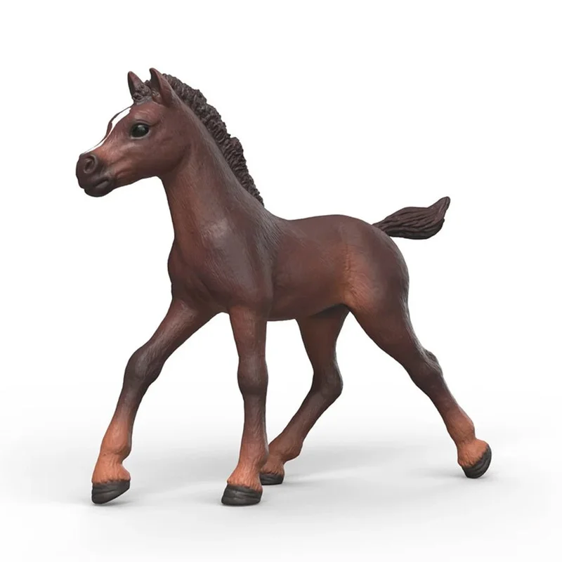 borneneskartel737322